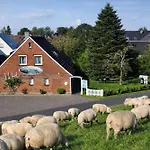 아파트 Borkum *